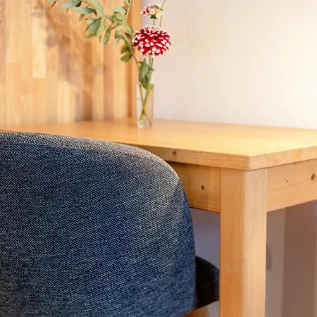 Goldenes Schiff Guest house Passau